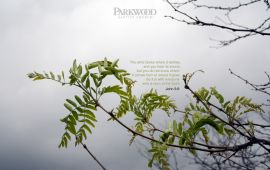 John 3:8 christian wallpaper, christian background