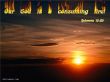 Details for the 'Hebrews 12:29' free image, background, wallpaper