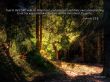 Details for the 'Proverbs 3:5-6' free image, background, wallpaper