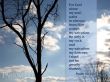 Details for the 'Psalm 62:1-2' free image, background, wallpaper