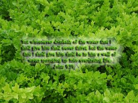 John 4:14 christian wallpaper, christian background