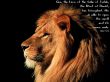 Details for the 'Revelations 5:5' free image, background, wallpaper