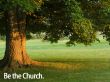 Details for the 'Be the church - The tree' free image, background, wallpaper