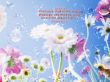 Details for the 'Proverbs 22:6' free image, background, wallpaper