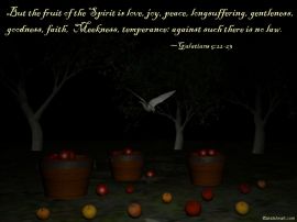 Galatians 5:22-23 christian wallpaper, christian background