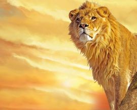 Awakening Lion christian wallpaper, christian background