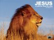 Details for the 'Lion of Judah' free image, background, wallpaper