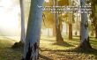 Details for the 'Colossians 3:8' free image, background, wallpaper