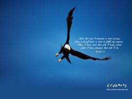 The Plan of God christian wallpaper, christian background