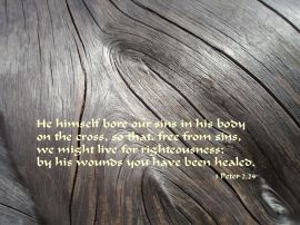 1 Peter 2:24 christian wallpaper, christian background