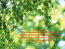 1 Peter 4:14 christian wallpaper, christian background