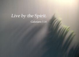 Galatians 5:16 christian wallpaper, christian background