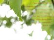 Details for the 'John 4:13-14' free image, background, wallpaper