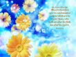 Details for the 'Romans 8:1' free image, background, wallpaper