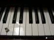 Details for the 'Pianos' free image, background, wallpaper