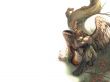 Details for the 'Angel and Guitar' free image, background, wallpaper