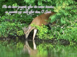 Psalm 42:1 christian wallpaper, christian background