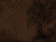 Details for the 'Why' free image, background, wallpaper