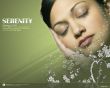 Details for the 'Philippians 4:7' free image, background, wallpaper