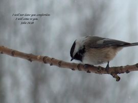 John 14:18 christian wallpaper, christian background