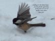 Details for the 'Titus 2:13' free image, background, wallpaper