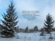 Details for the 'Hebrews 12:1' free image, background, wallpaper