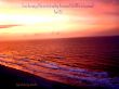 Details for the 'Psalms 11:33' free image, background, wallpaper
