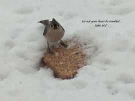 John 14:1 christian wallpaper, christian background