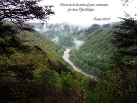 Psalm 119:35 christian wallpaper, christian background