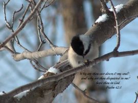 Psalm 42:5 christian wallpaper, christian background
