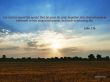 Details for the 'John 3:16' free image, background, wallpaper