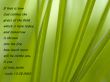 Details for the 'Luke 12:28' free image, background, wallpaper