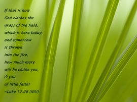 Luke 12:28 christian wallpaper, christian background