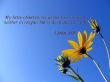 Details for the '1 John 3:18' free image, background, wallpaper