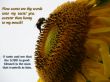 Details for the 'Psalm 119:103 & 34:8' free image, background, wallpaper