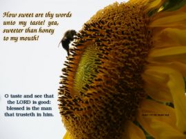 Psalm 119:103 & 34:8 christian wallpaper, christian background