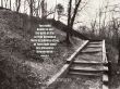 Details for the 'Psalm 16:11' free image, background, wallpaper