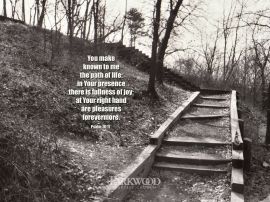 Psalm 16:11 christian wallpaper, christian background