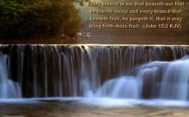 John 15:2 christian wallpaper, christian background