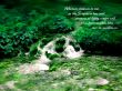 Details for the 'Faith living water' free image, background, wallpaper