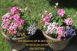 Details for the 'Matthew 20:27' free image, background, wallpaper