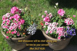 Matthew 20:27 christian wallpaper, christian background