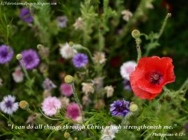 Philippians 4:12 christian wallpaper, christian background