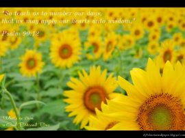 Psalm 90:12 christian wallpaper, christian background