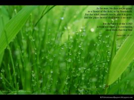 Psalm 103:15-17 christian wallpaper, christian background