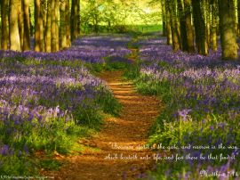 Matthew 7:14 christian wallpaper, christian background