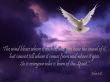 Details for the 'Born of the Spirit' free image, background, wallpaper