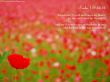 Details for the 'Psalm 139:23-24' free image, background, wallpaper