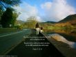 Details for the 'Psalm 37:23-24' free image, background, wallpaper