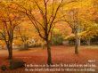 Details for the 'John 15:5' free image, background, wallpaper